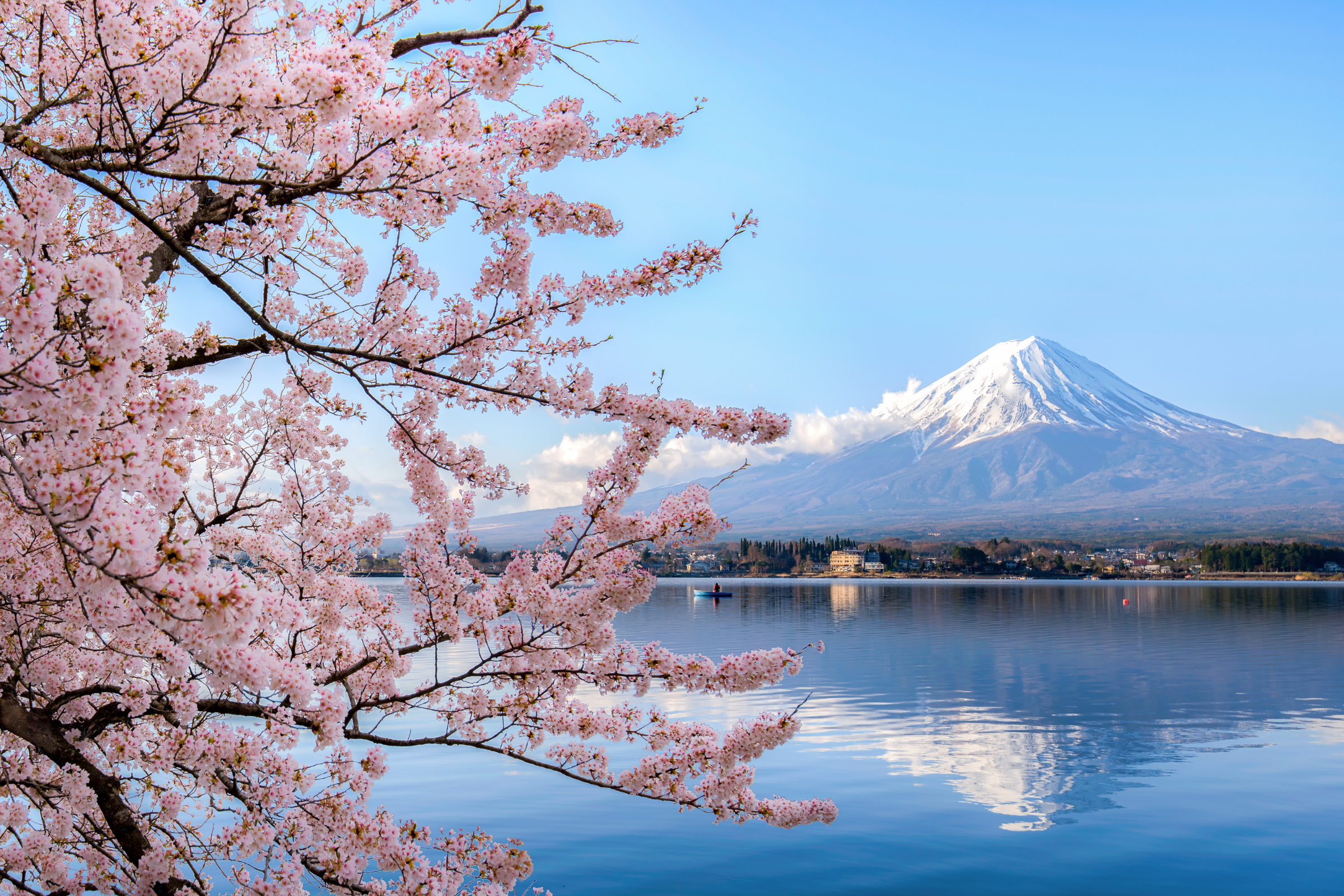fuji five lakes (4).webp